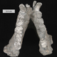 Image for article titled Did bigfoot really exist?